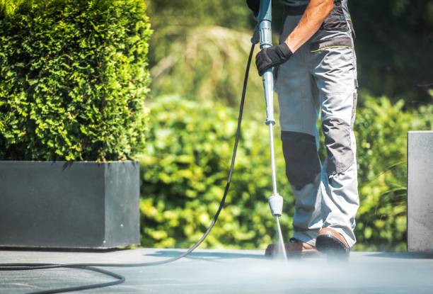 Best Paint Preparation  in Lockport, IL